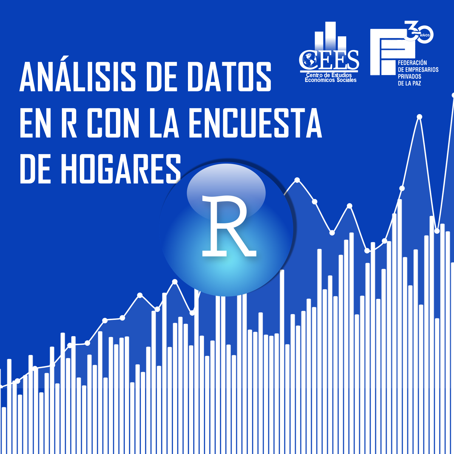 Curso de Análisis de Datos en R con la Encuesta de Hogares